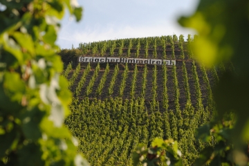 Graacher Himmelreich
