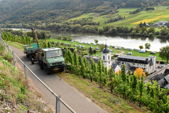 Weinlese 2019 Mosel Unimog
