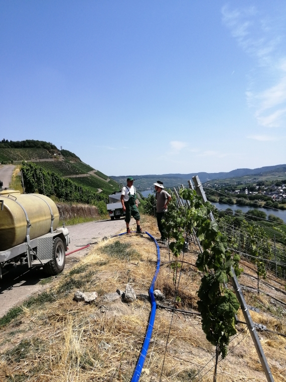Installation Tröpfchenbewässerung August 2019