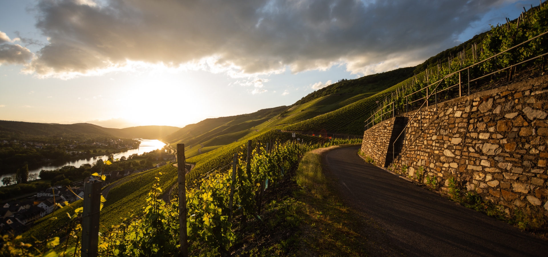Riesling